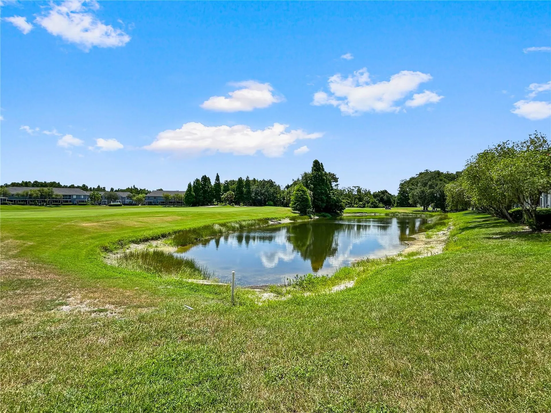 18141 Nassau Point Drive Tampa FL 33647