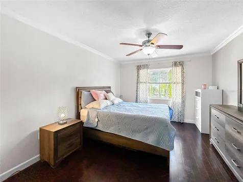 18141 Nassau Point Drive Tampa FL 33647