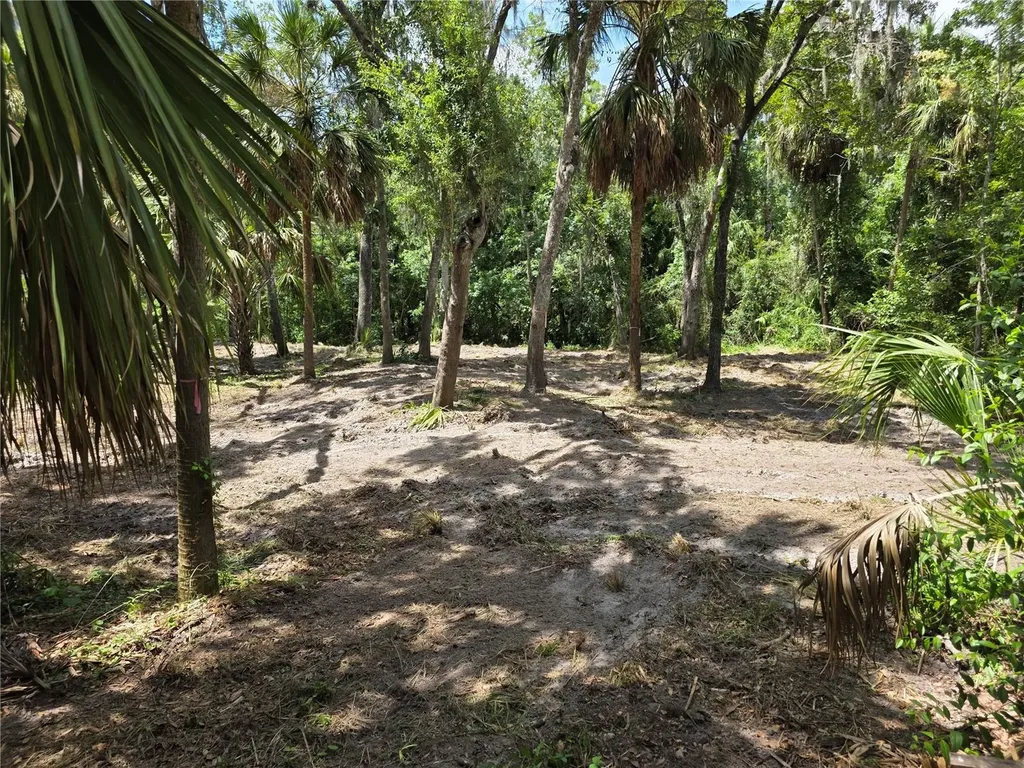 4876 Rambling River Road Brandon FL 33511