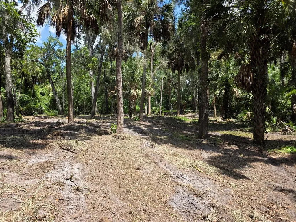 4876 Rambling River Road Brandon FL 33511