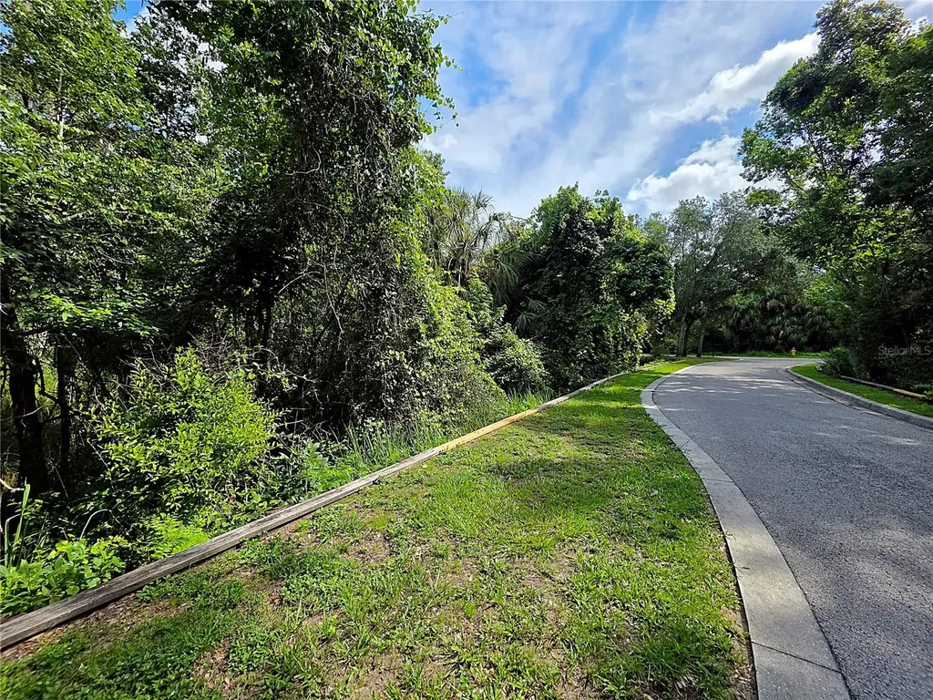4876 Rambling River Road Brandon FL 33511