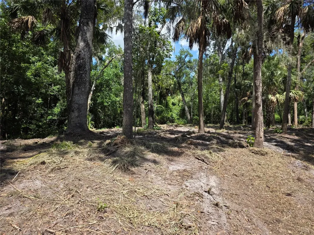 4876 Rambling River Road Brandon FL 33511