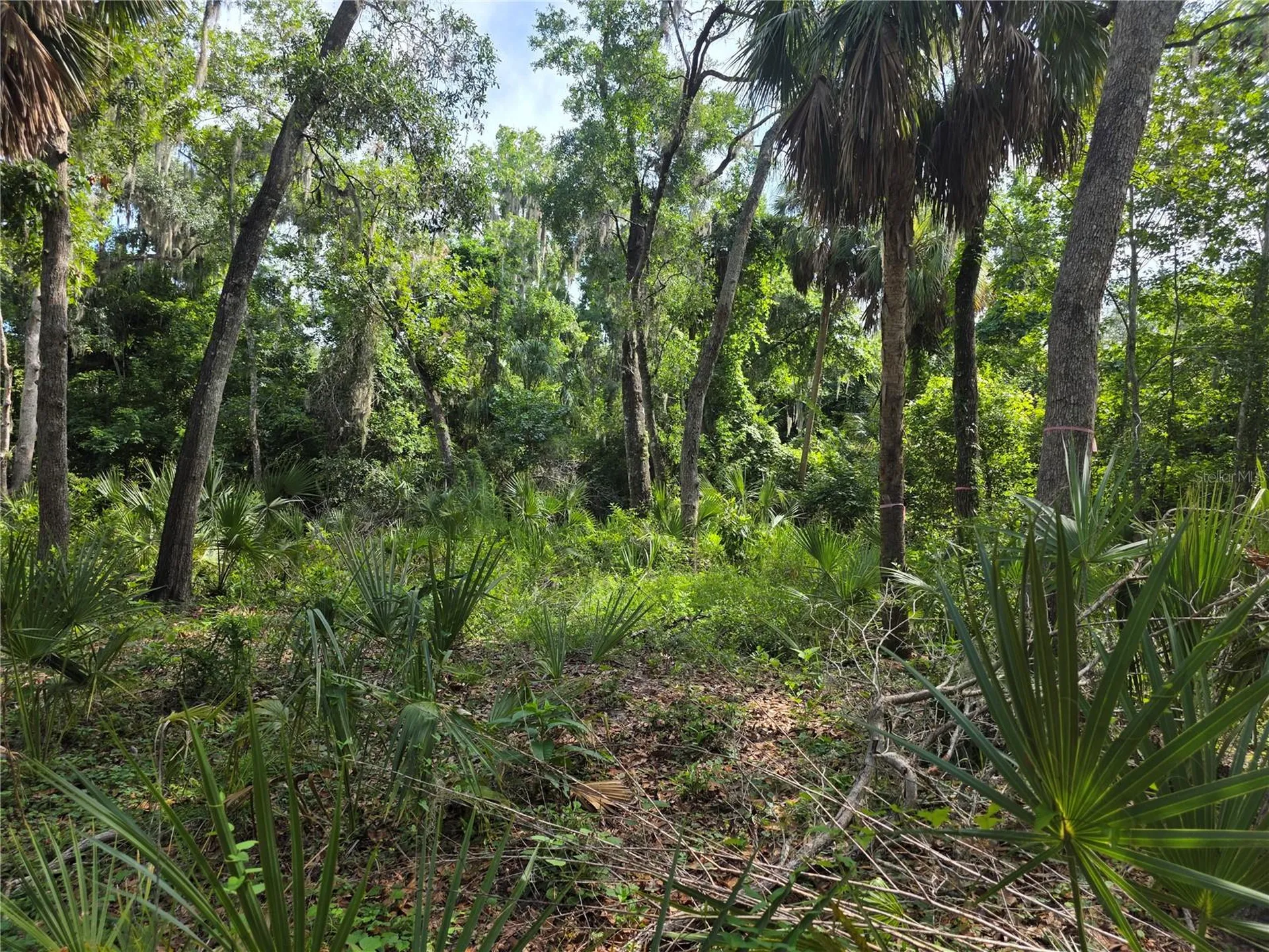 4876 Rambling River Road Brandon FL 33511