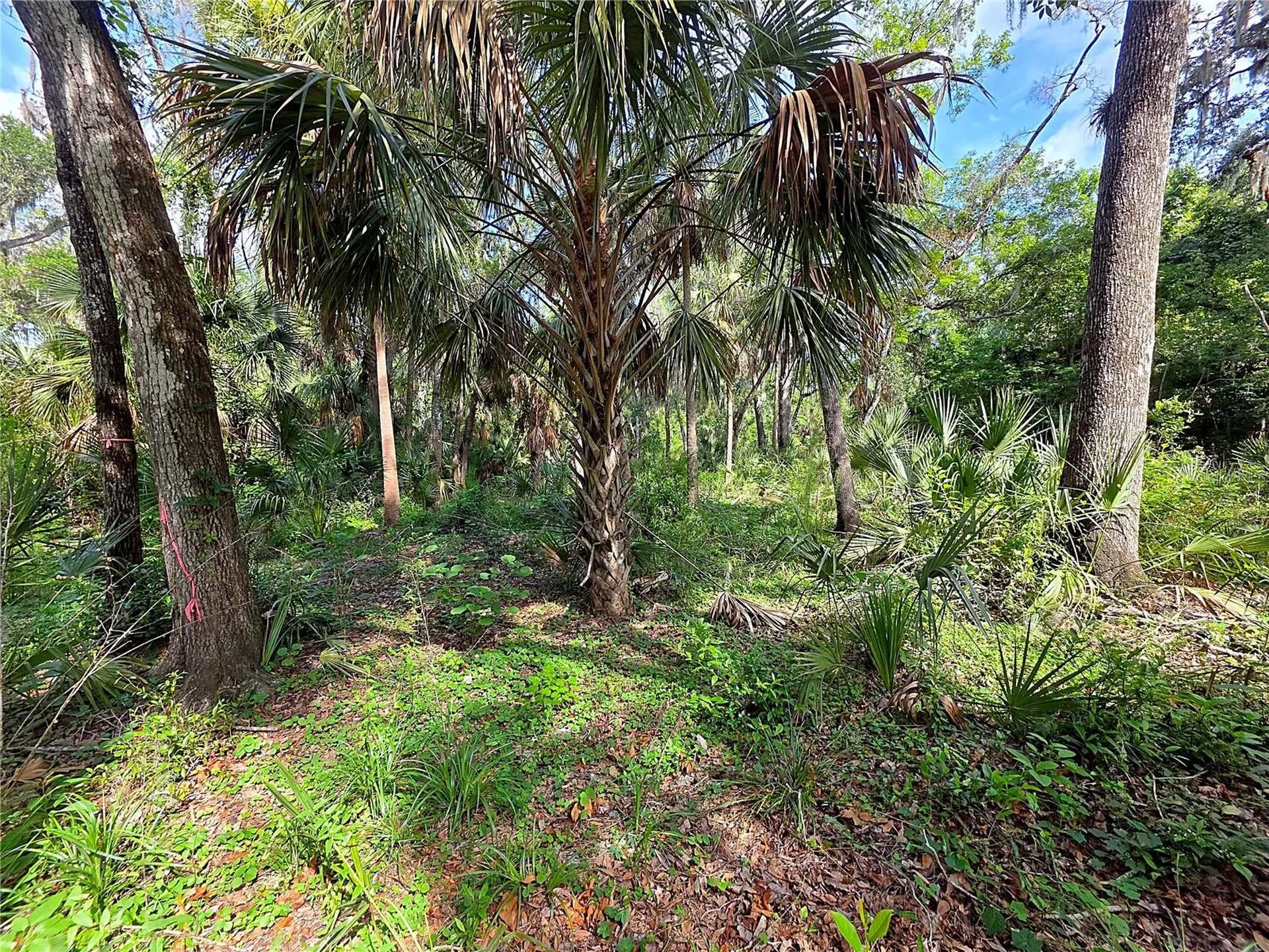 4876 Rambling River Road Brandon FL 33511