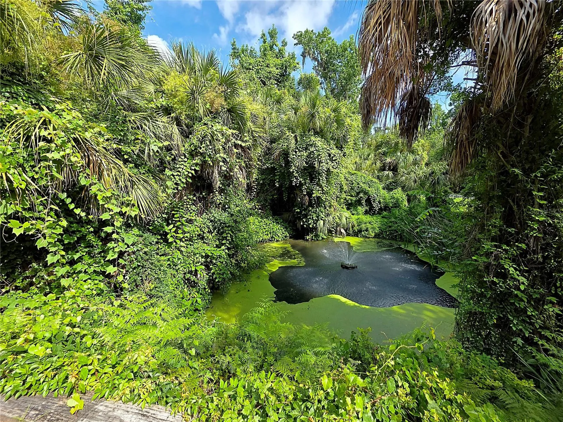 4876 Rambling River Road Brandon FL 33511