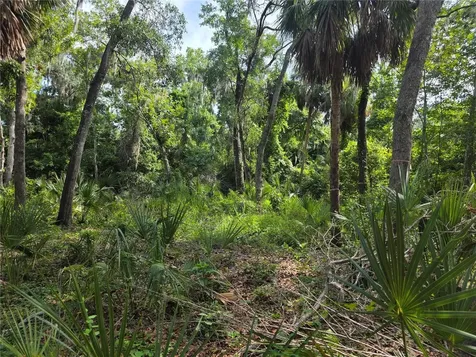 4876 Rambling River Road Brandon FL 33511