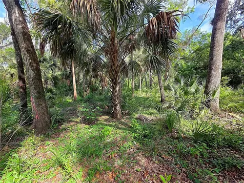 4876 Rambling River Road Brandon FL 33511