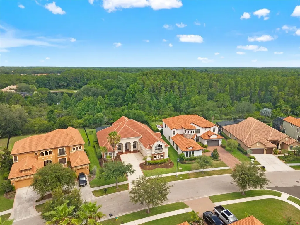 8412 Dunham Station Drive Tampa FL 33647