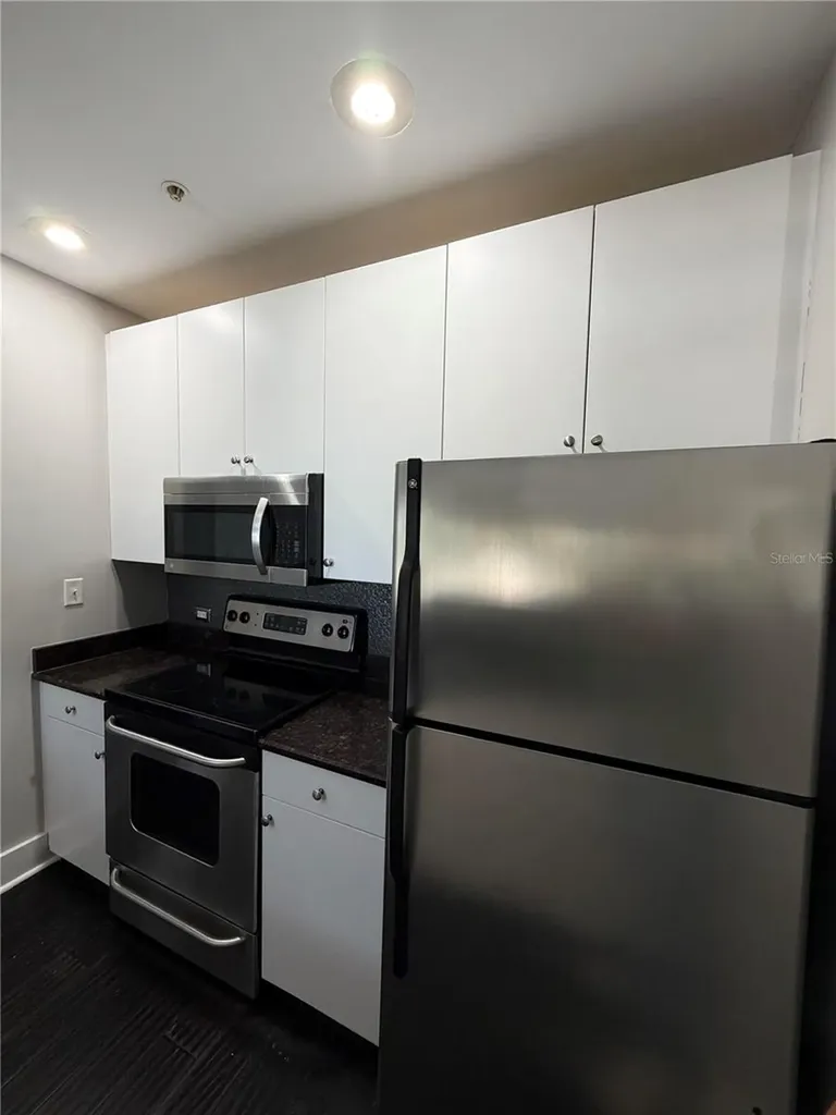 1501 Doyle Carlton Drive Tampa FL 33602
