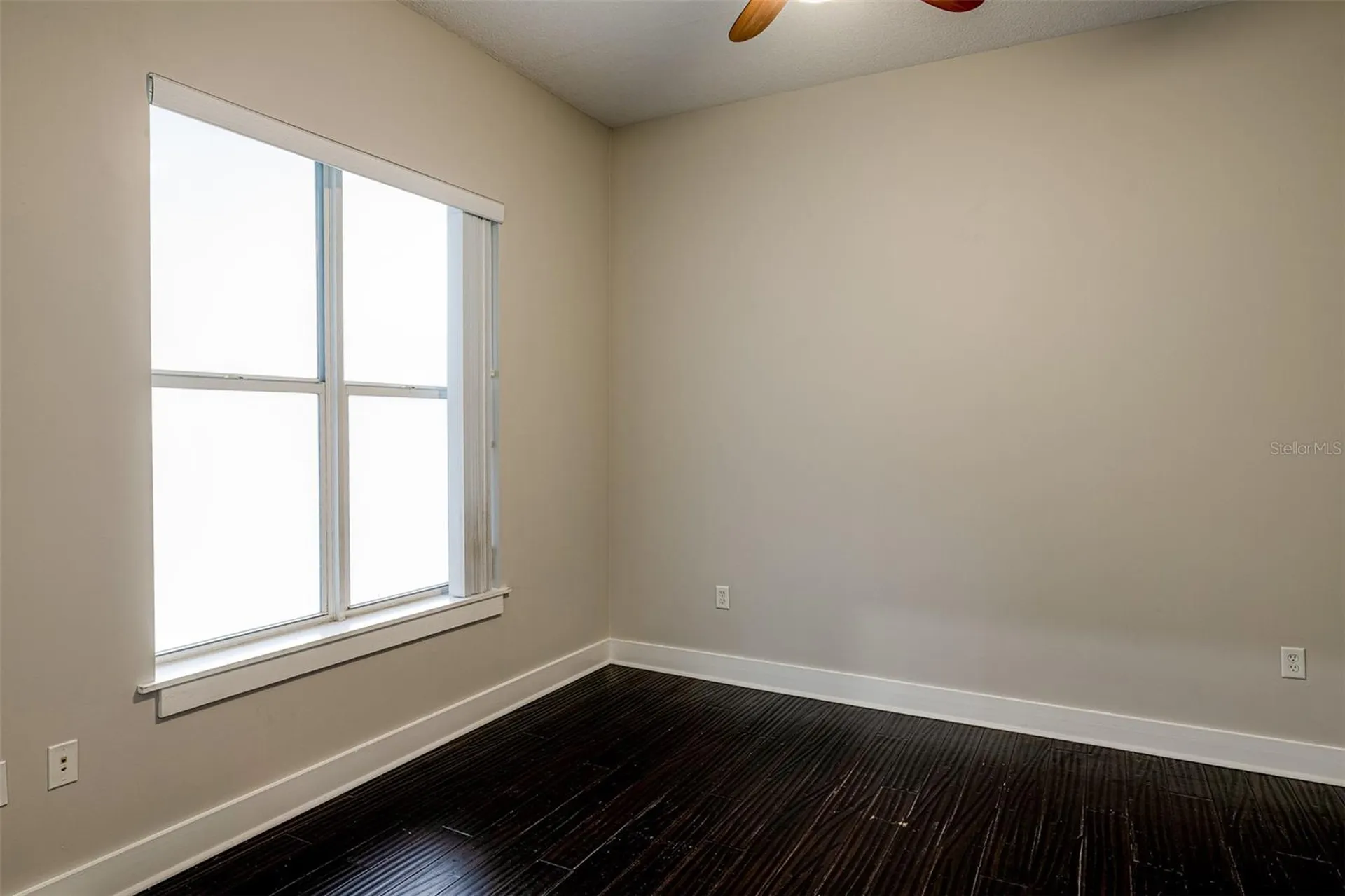 1501 Doyle Carlton Drive Tampa FL 33602