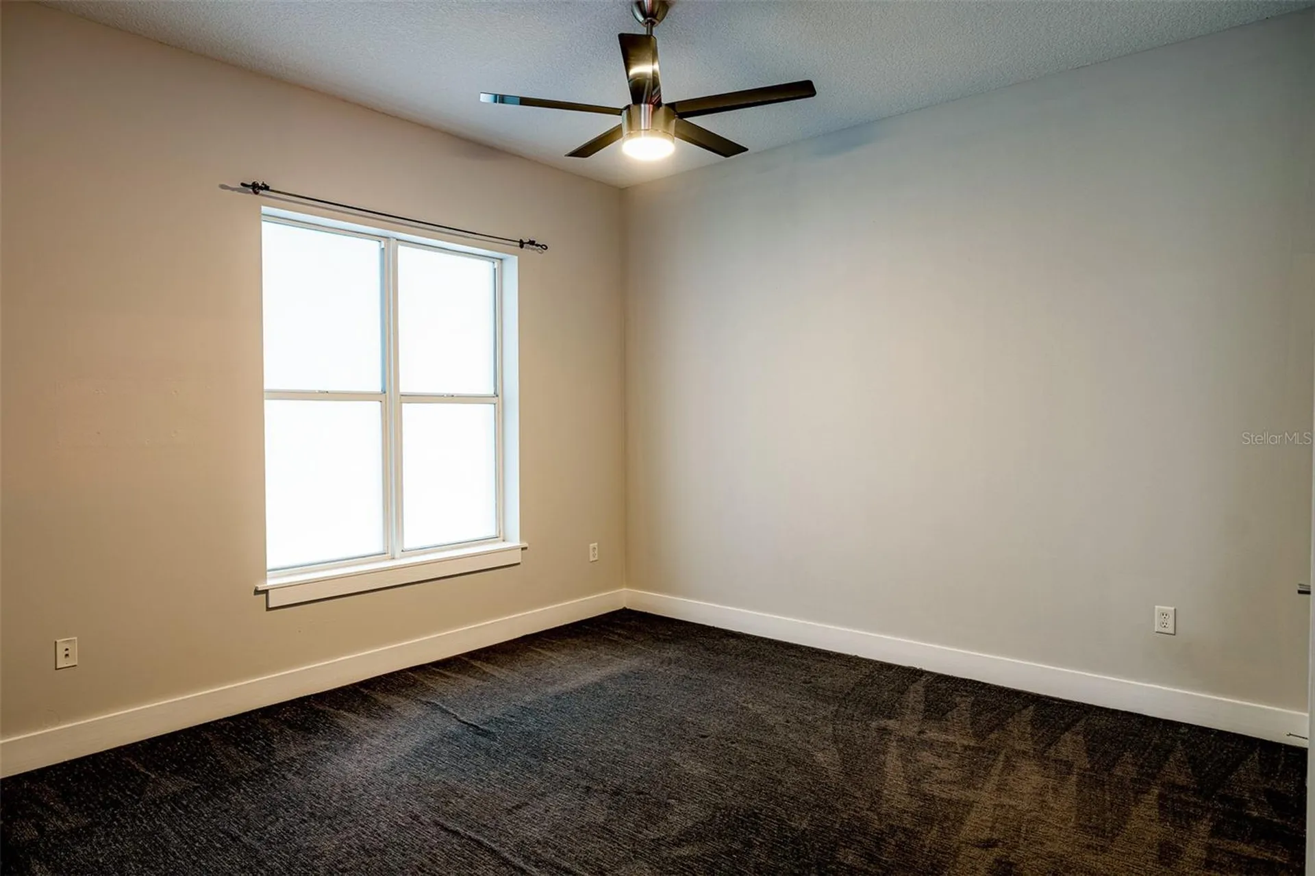 1501 Doyle Carlton Drive Tampa FL 33602