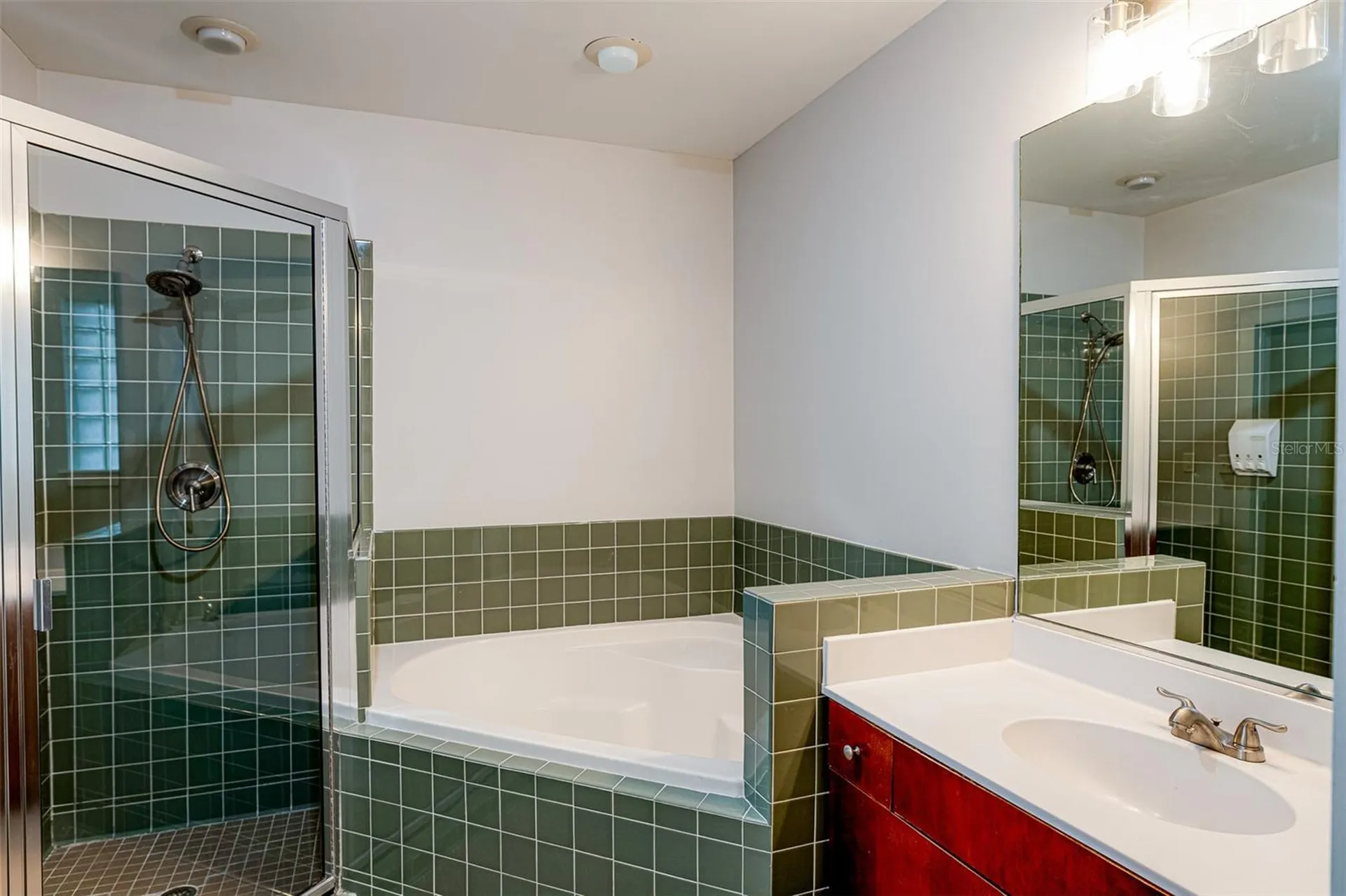 1501 Doyle Carlton Drive Tampa FL 33602