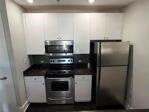 1501 Doyle Carlton Drive Tampa FL 33602