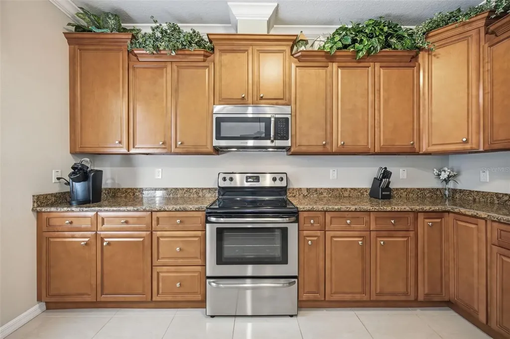15107 Monet Drive Tampa FL 33613