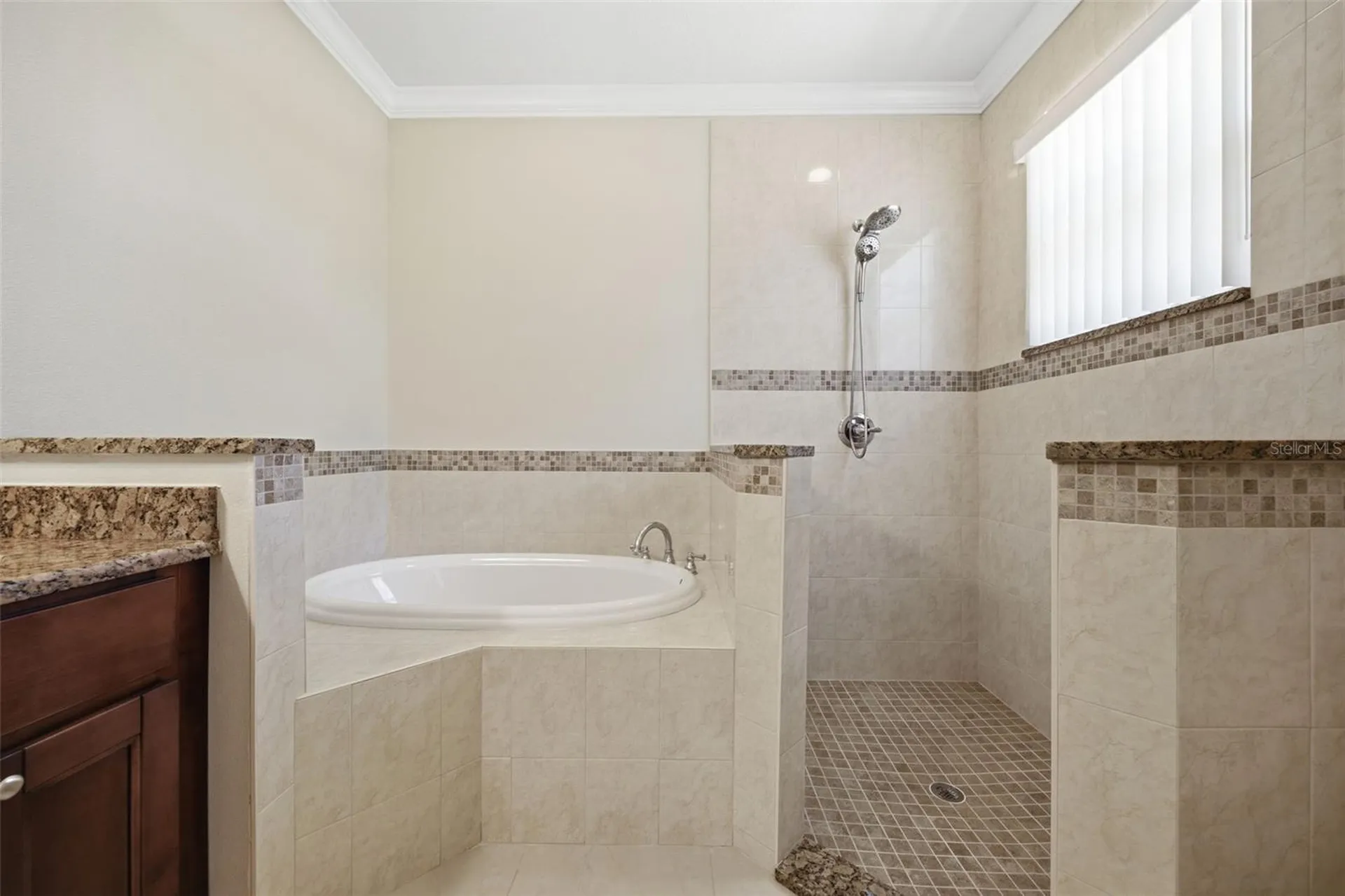 15107 Monet Drive Tampa FL 33613