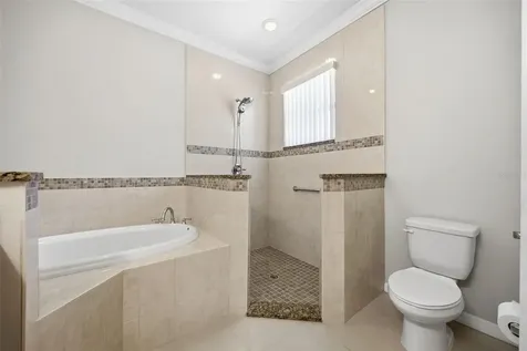 15107 Monet Drive Tampa FL 33613