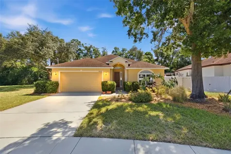 15107 Monet Drive Tampa FL 33613