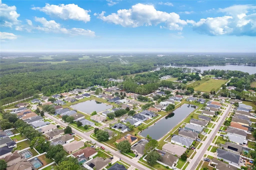 20744 Orchardtown Drive Land O Lakes FL 34638