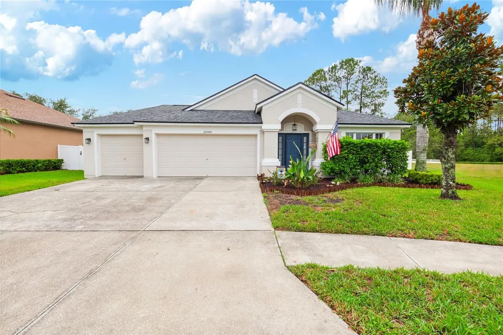 20744 Orchardtown Drive Land O Lakes FL 34638