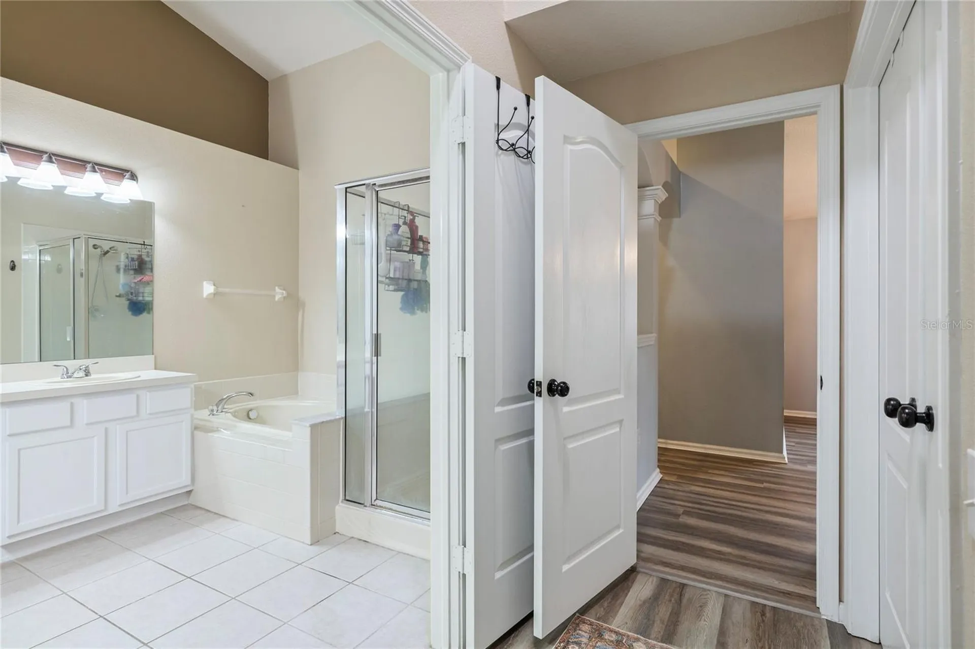 20744 Orchardtown Drive Land O Lakes FL 34638