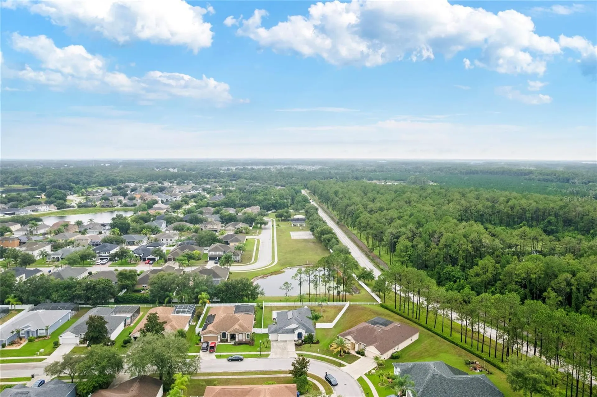 20744 Orchardtown Drive Land O Lakes FL 34638