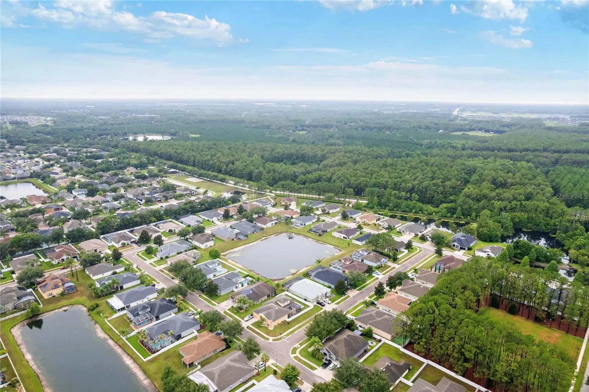20744 Orchardtown Drive Land O Lakes FL 34638