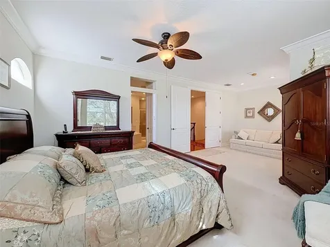 937 Canino Court Palm Harbor FL 34683