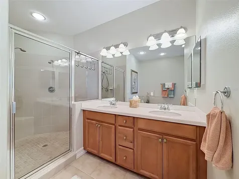 937 Canino Court Palm Harbor FL 34683