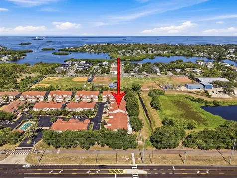 937 Canino Court Palm Harbor FL 34683