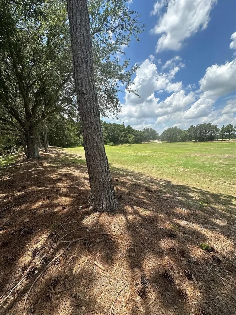 27001 White Plains Way Leesburg FL 34748