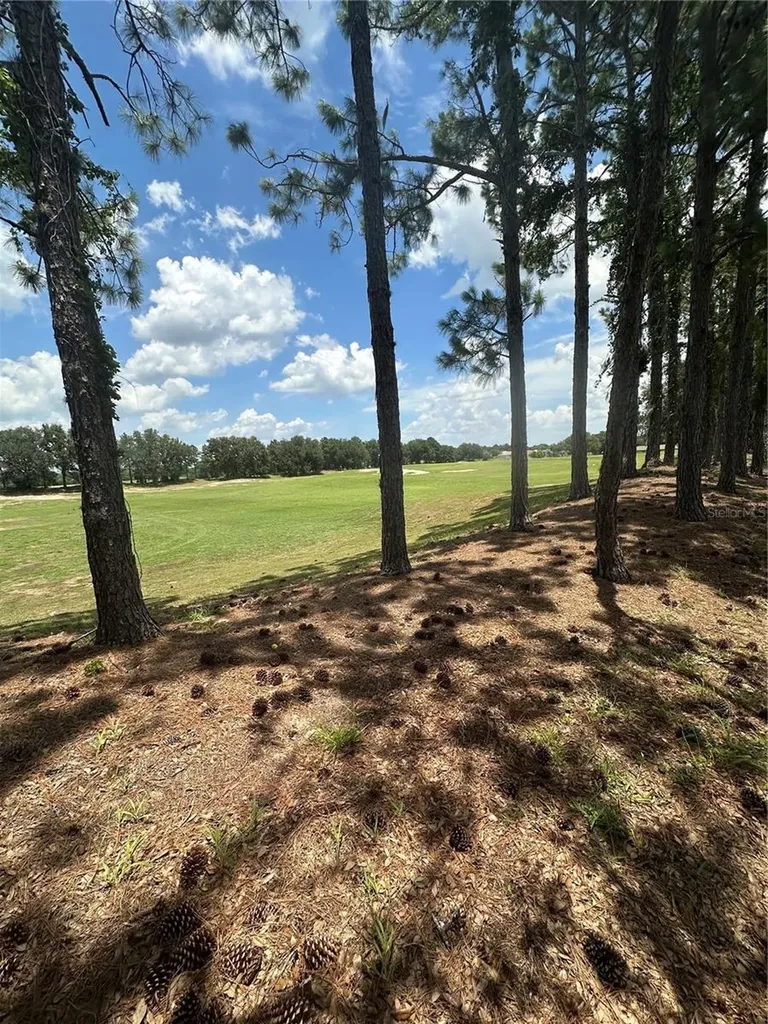 27001 White Plains Way Leesburg FL 34748
