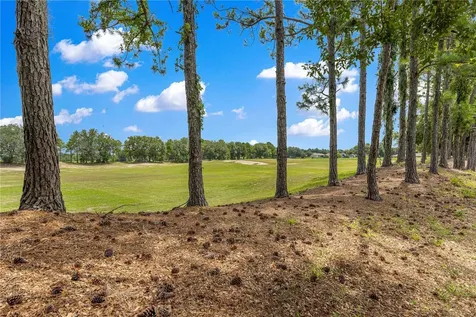 27001 White Plains Way Leesburg FL 34748