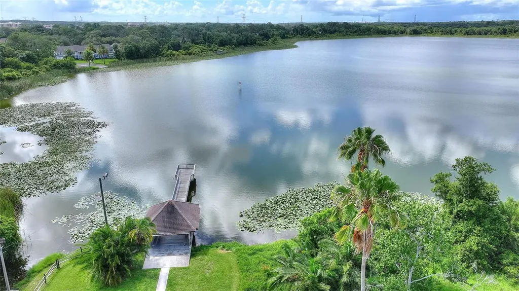 3948 Orchard Hill Circle Palm Harbor FL 34684