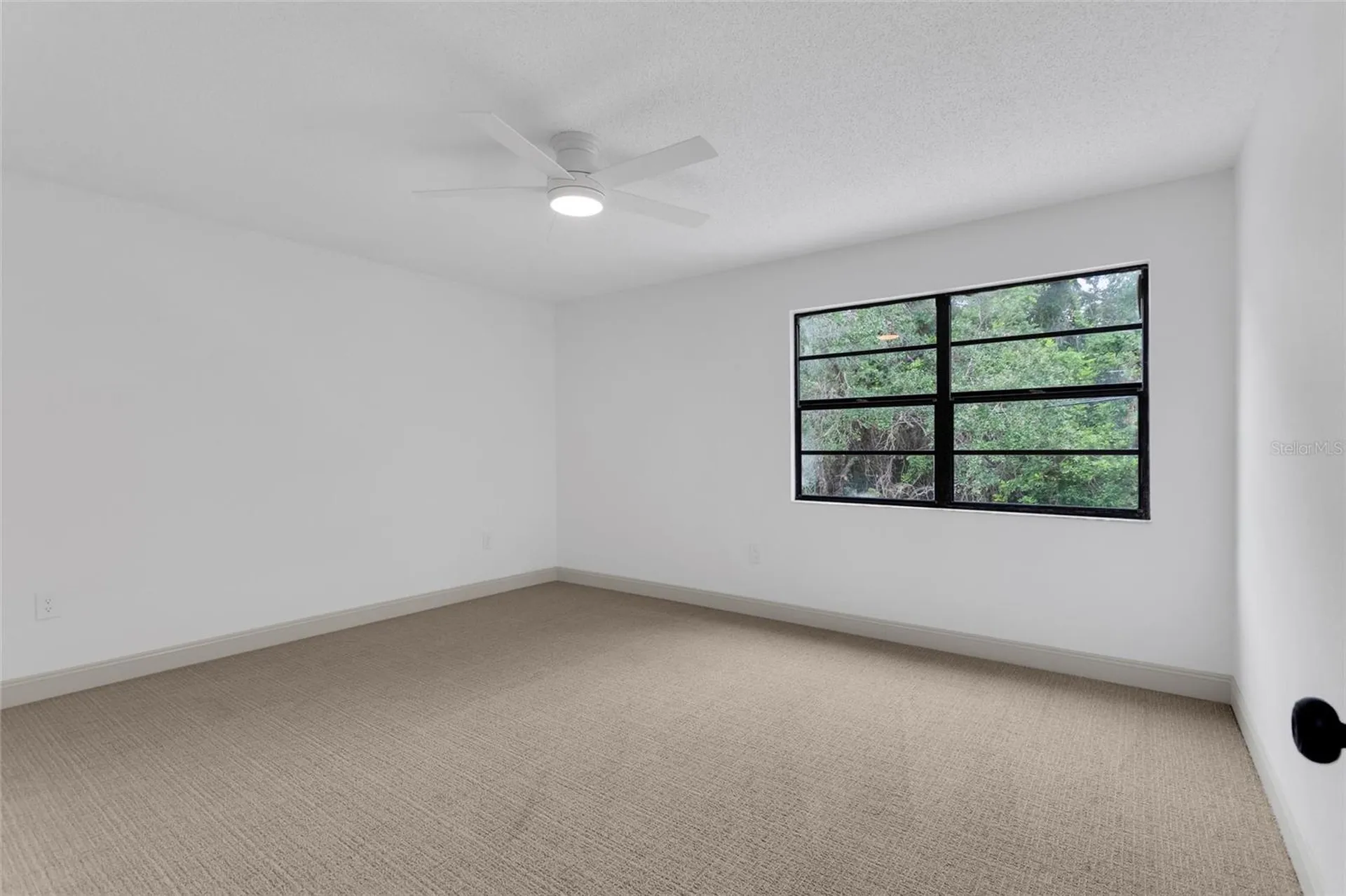 3948 Orchard Hill Circle Palm Harbor FL 34684