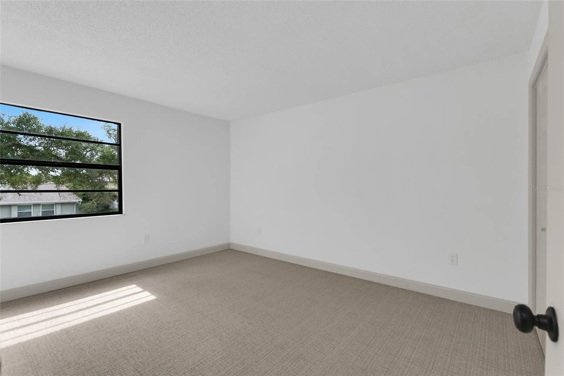 3948 Orchard Hill Circle Palm Harbor FL 34684