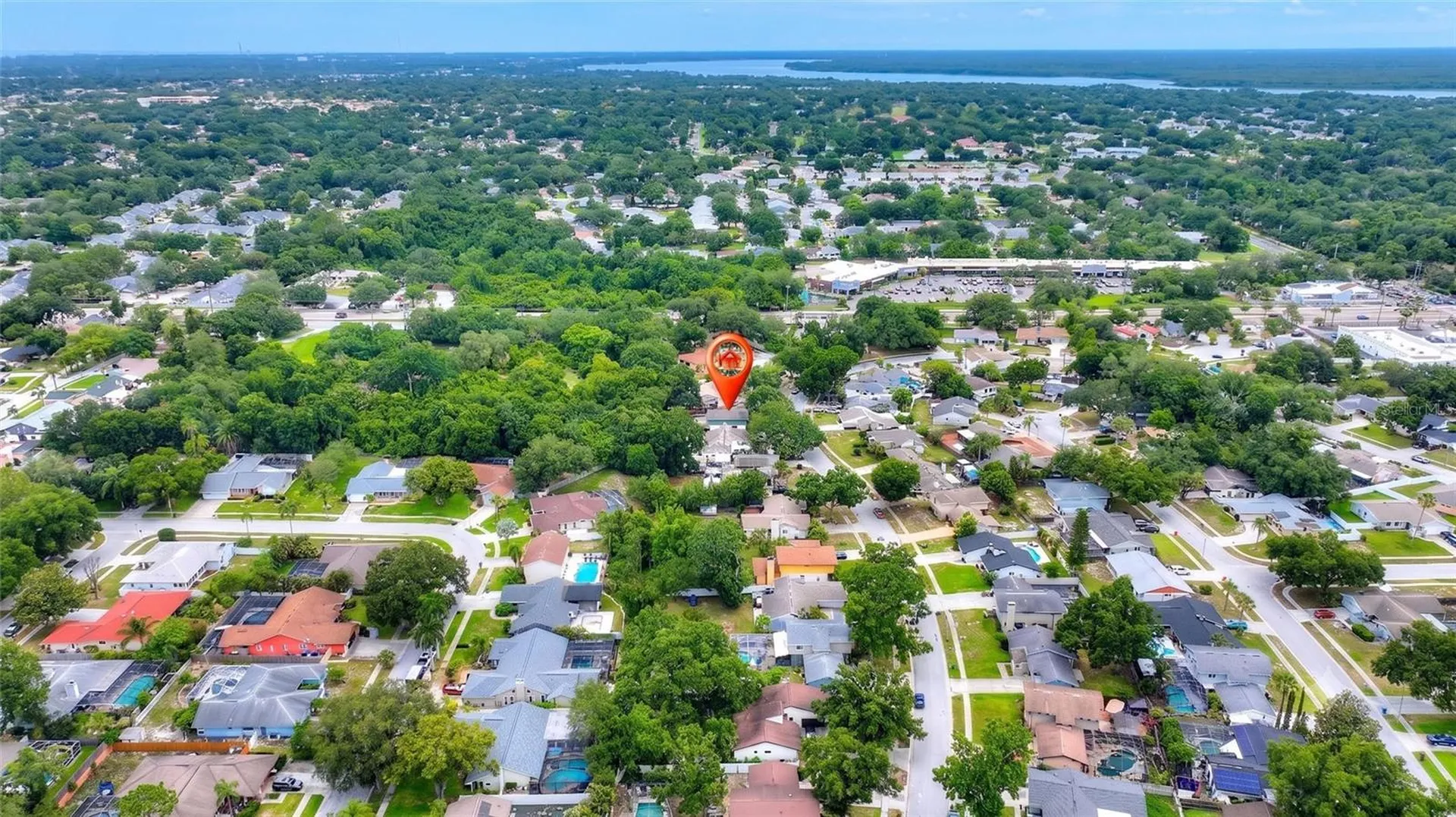 3948 Orchard Hill Circle Palm Harbor FL 34684