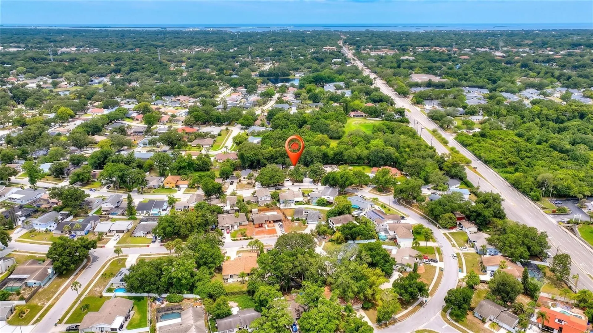 3948 Orchard Hill Circle Palm Harbor FL 34684