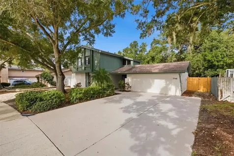 3948 Orchard Hill Circle Palm Harbor FL 34684