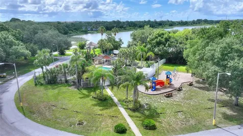 3948 Orchard Hill Circle Palm Harbor FL 34684