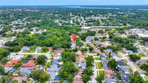 3948 Orchard Hill Circle Palm Harbor FL 34684