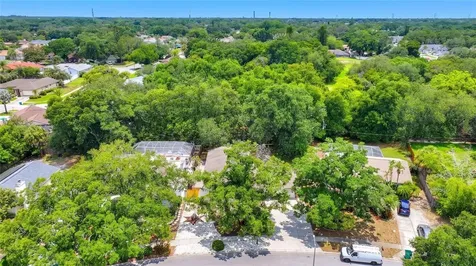3948 Orchard Hill Circle Palm Harbor FL 34684
