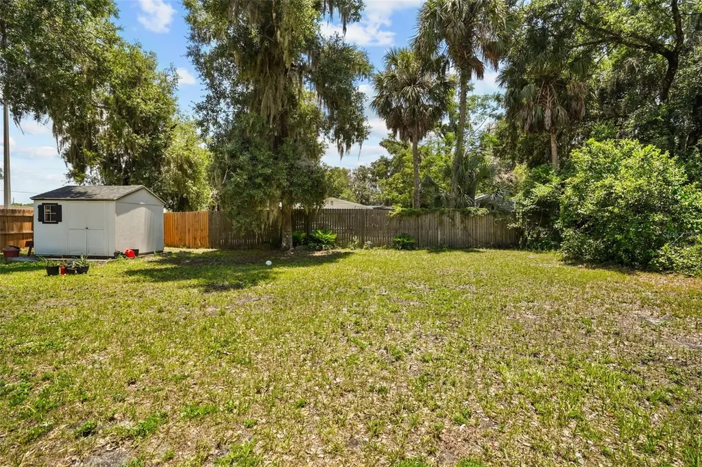 1124 Grant Avenue Mount Dora FL 32757