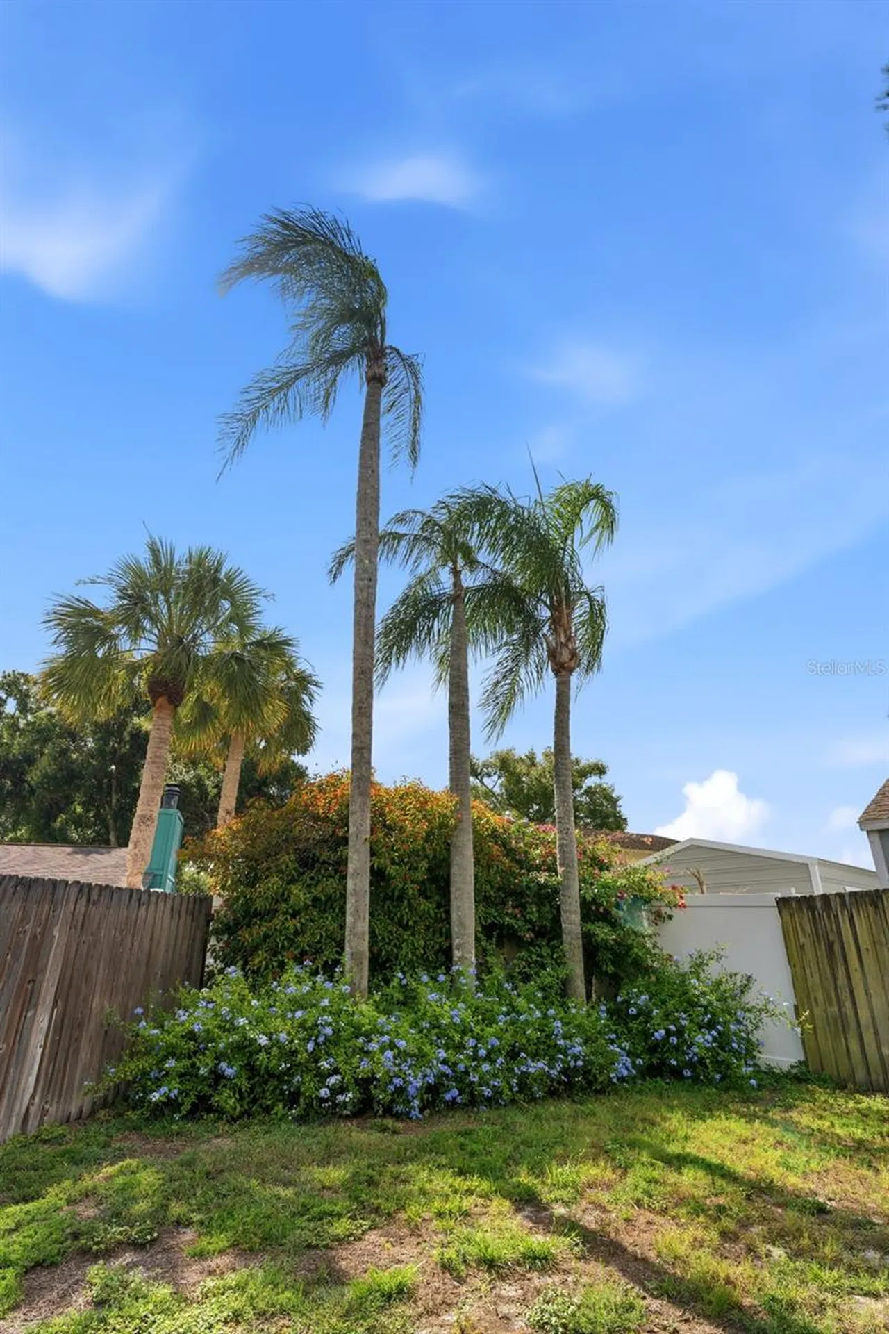 4002 Pebblestone Place Tampa FL 33624