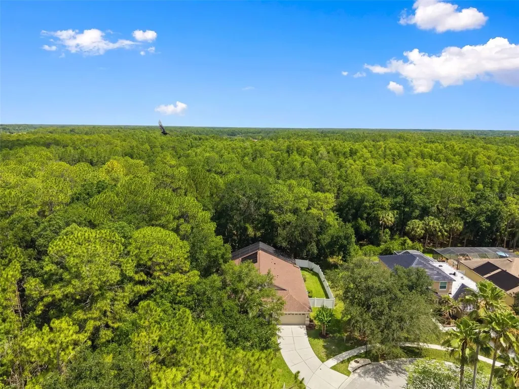 8102 Kendelwick Court Tampa FL 33647