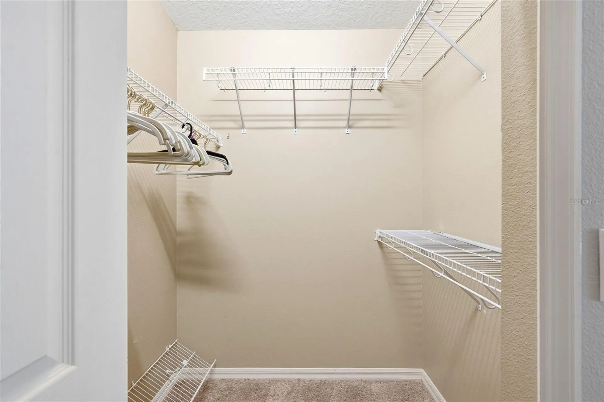 8102 Kendelwick Court Tampa FL 33647