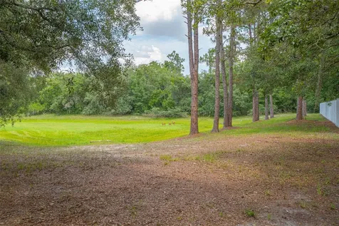 361 Lake Lenelle Drive Chuluota FL 32766