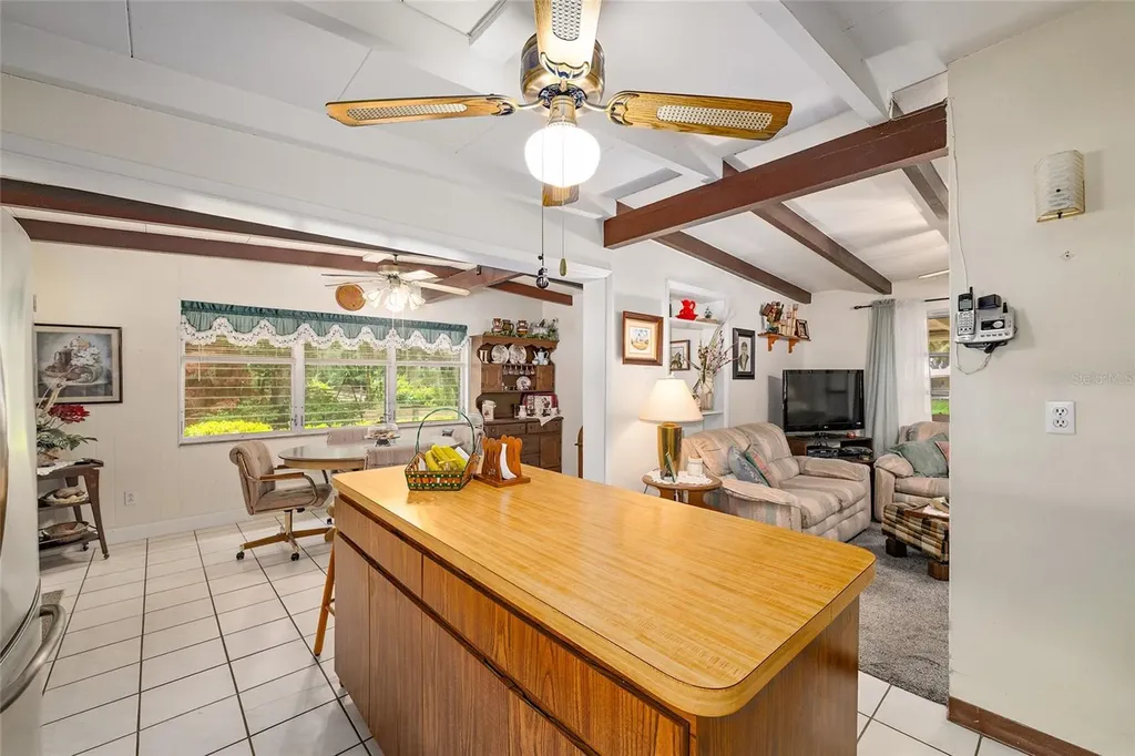 2345 Cr 453 Lake Panasoffkee FL 33538