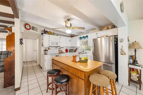 2345 Cr 453 Lake Panasoffkee FL 33538