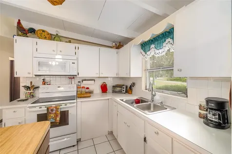 2345 Cr 453 Lake Panasoffkee FL 33538