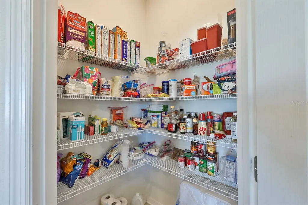 2927 Marine Grass Drive Wimauma FL 33598